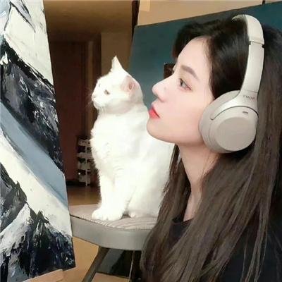巴黎疯马秀
